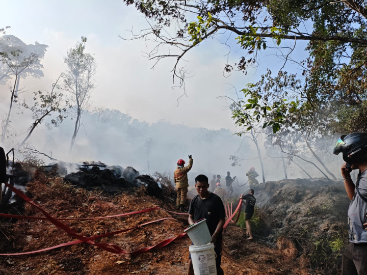 Salah satu kasus kebakaran hutan dan lahan di Bontang. (KlikKaltim)