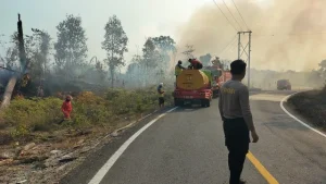 Proses pemadaman Karhutla oleh petugas di Kabupaten Berau. (Foto: Dok.Tim Gabungan Karhutla Berau)