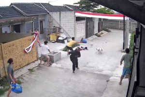 Rekaman kamera pengawas warga saat seekor anjing pitbull menyerang seorang anak sembilan tahun di Arjasari, Kabupaten Bandung, Jawa Barat. ( CCTV /Kamera pengawas warga)
