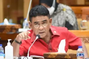 Wakil Ketua Komisi XIII DPR RI Andreas Hugo Pareira. (Foto: Humas DPR RI)